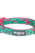 Blueberry Pet Essentials Zoo Fun Dog Collars