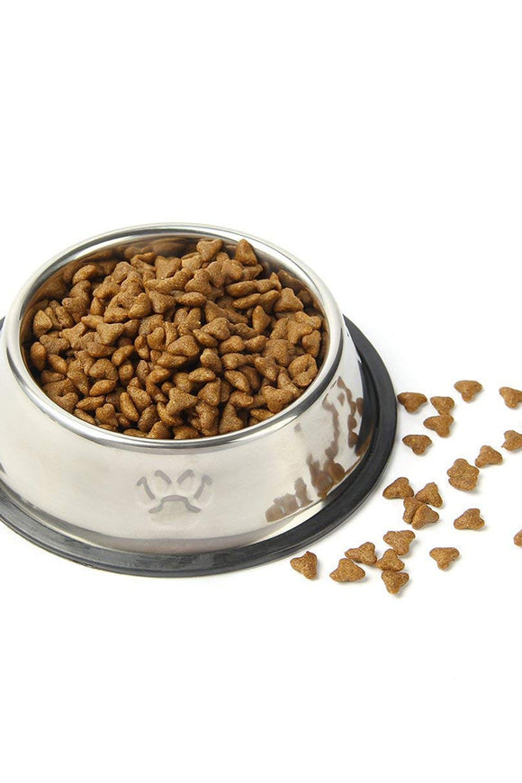 Qpey Pet Food Bowl Stainless Steel Non Skid Pet Paws Doodler Dish Is Perfect For A Small Dog Cat Kitten Puppy 2pc